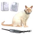Kitty Phone - zestaw deluxe z przenośnym odbiornikiem