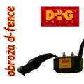 Obroża elektryczna d-Fence marki Dog Trace