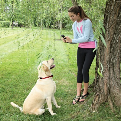 Dodatkowa obroża elektryczna dla psa Stubborn Dog Extra