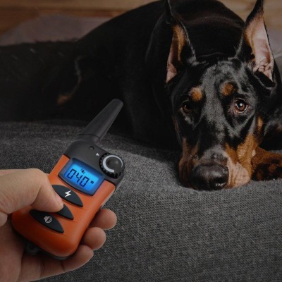 Obroża treningowa dla 2 psów marki IPets z wyświetlaczem LCD