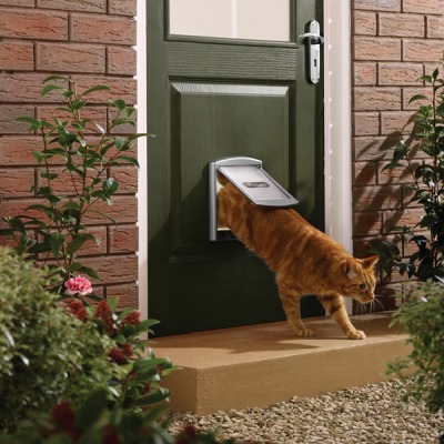 Drzwi dla kota lub małego psa - jakość PetSafe
