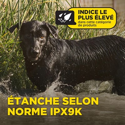 Obroża treningowa Dogtra 1202X - zestaw dla dwóch psów