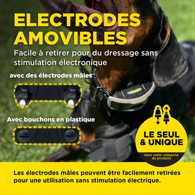 Obroża treningowa Dogtra 1202X - zestaw dla dwóch psów