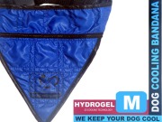 Niebieska bandamka chłodząca dla psa - rozmiar M