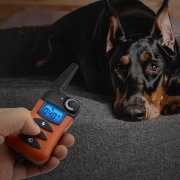 Obroża treningowa dla 2 psów marki IPets z wyświetlaczem LCD