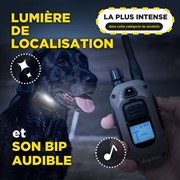 Obroża treningowa Dogtra 1202X - zestaw dla dwóch psów