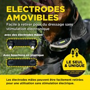 Obroża treningowa Dogtra 1202X - zestaw dla dwóch psów