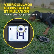 Obroża treningowa Dogtra 1202X - zestaw dla dwóch psów